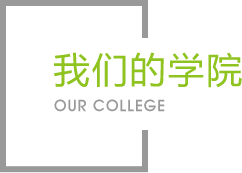 NG体育官网